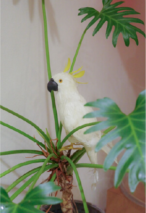 Informationイメージ